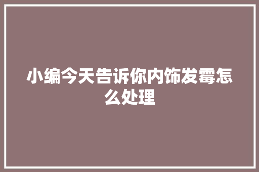 小编今天告诉你内饰发霉怎么处理