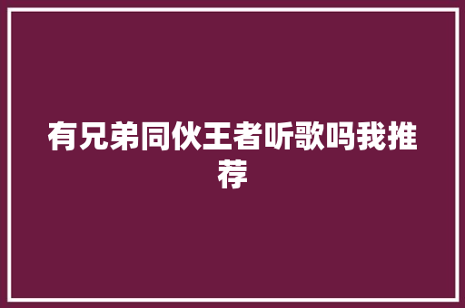 有兄弟同伙王者听歌吗我推荐