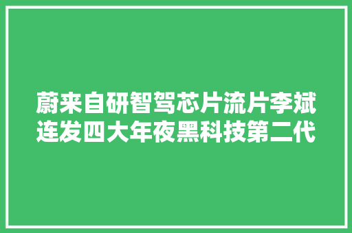 蔚来自研智驾芯片流片李斌连发四大年夜黑科技第二代手机也来了