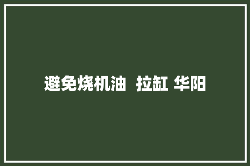 避免烧机油  拉缸 华阳