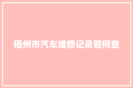 梧州市汽车维修记录若何查