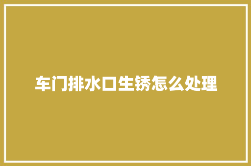 车门排水口生锈怎么处理