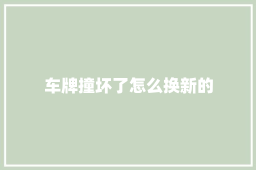 车牌撞坏了怎么换新的