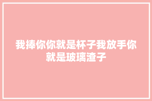 我捧你你就是杯子我放手你就是玻璃渣子