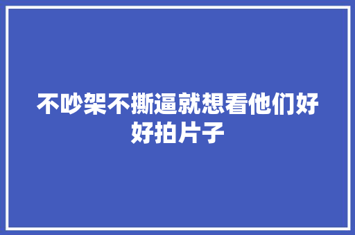 不吵架不撕逼就想看他们好好拍片子