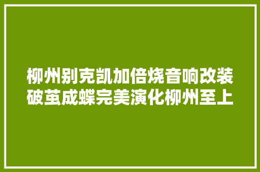 柳州别克凯加倍烧音响改装破茧成蝶完美演化柳州至上音乐
