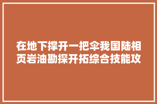 在地下撑开一把伞我国陆相页岩油勘探开拓综合技能攻关纪实