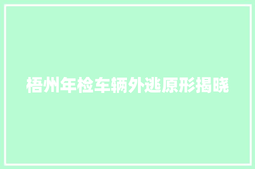 梧州年检车辆外逃原形揭晓