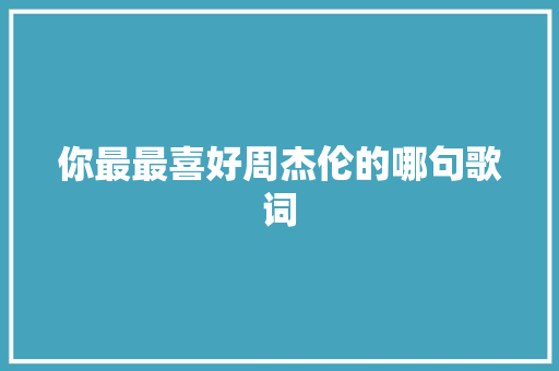 你最最喜好周杰伦的哪句歌词 休闲娱乐