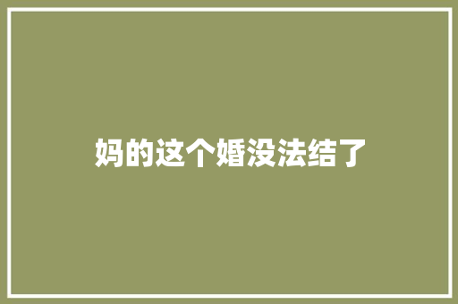 妈的这个婚没法结了