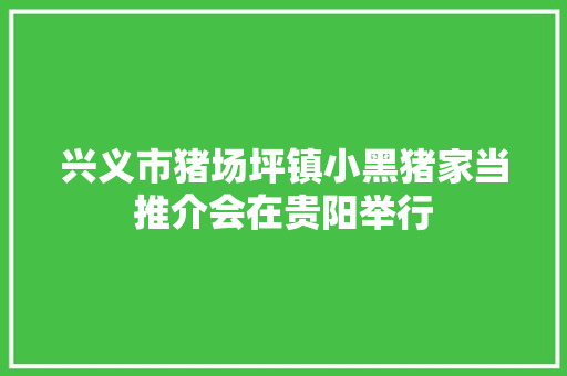 兴义市猪场坪镇小黑猪家当推介会在贵阳举行