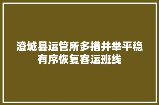 澄城县运管所多措并举平稳有序恢复客运班线