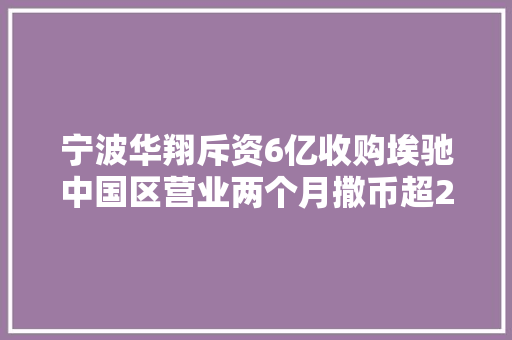 宁波华翔斥资6亿收购埃驰中国区营业两个月撒币超20亿元