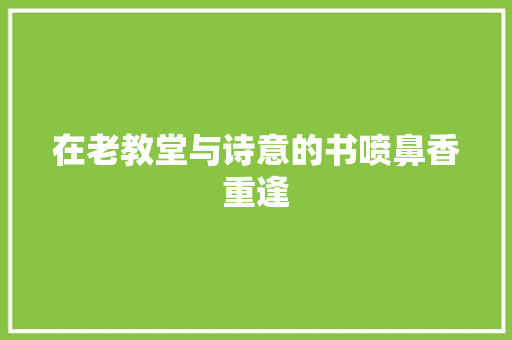 在老教堂与诗意的书喷鼻香重逢