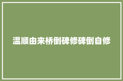 温顺由来桥倒碑修碑倒自修