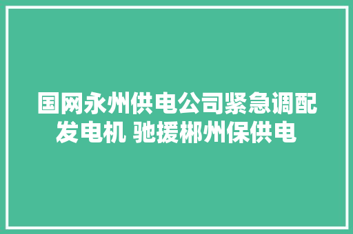 国网永州供电公司紧急调配发电机 驰援郴州保供电