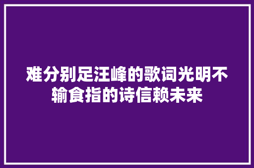 难分别足汪峰的歌词光明不输食指的诗信赖未来
