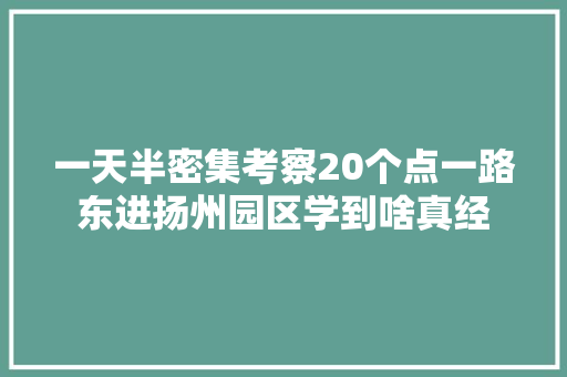 一天半密集考察20个点一路东进扬州园区学到啥真经