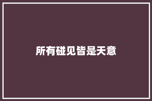 所有碰见皆是天意