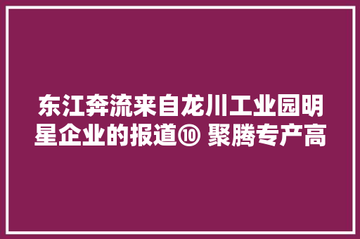 东江奔流来自龙川工业园明星企业的报道⑩ 聚腾专产高品格产品知足高端客户需求