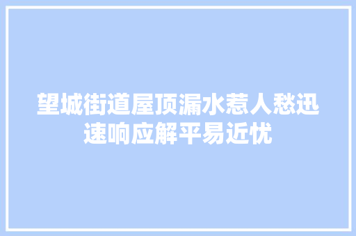 望城街道屋顶漏水惹人愁迅速响应解平易近忧