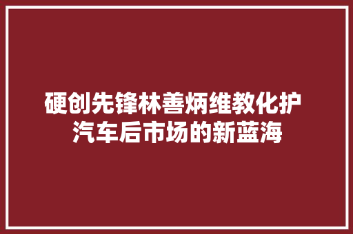硬创先锋林善炳维教化护 汽车后市场的新蓝海