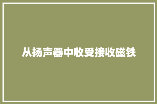 从扬声器中收受接收磁铁