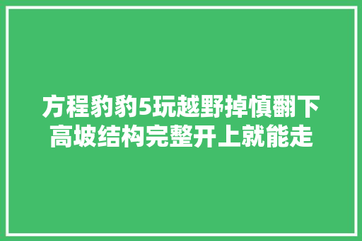 方程豹豹5玩越野掉慎翻下高坡结构完整开上就能走