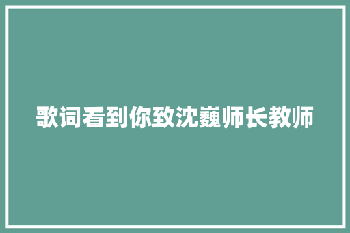 歌词看到你致沈巍师长教师