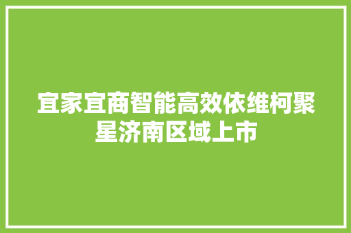 宜家宜商智能高效依维柯聚星济南区域上市