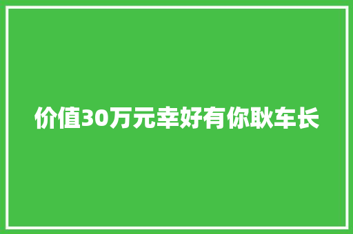 价值30万元幸好有你耿车长