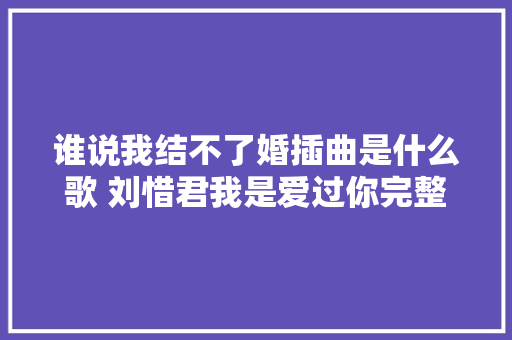 谁说我结不了婚插曲是什么歌 刘惜君我是爱过你完整歌词