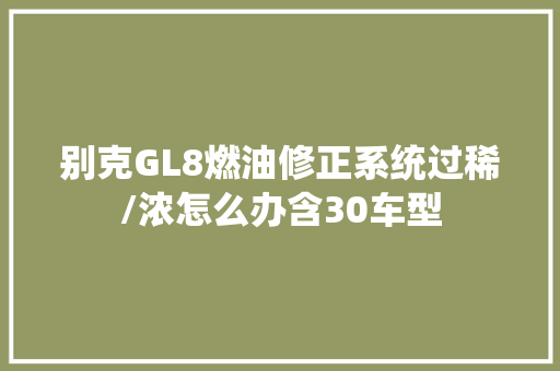 别克GL8燃油修正系统过稀/浓怎么办含30车型