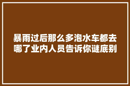 暴雨过后那么多泡水车都去哪了业内人员告诉你谜底别上当