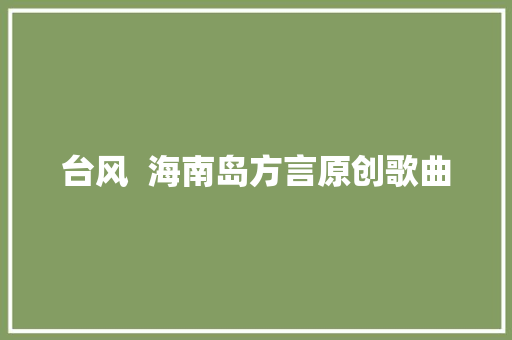 台风  海南岛方言原创歌曲