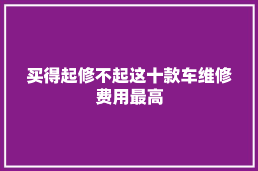 买得起修不起这十款车维修费用最高