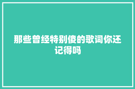 那些曾经特别傻的歌词你还记得吗