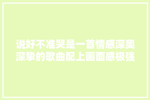 说好不准哭是一首情感深奥深挚的歌曲配上画面感极强的MV