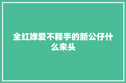 全红婵爱不释手的新公仔什么来头