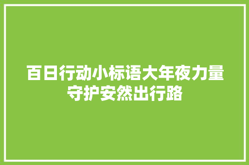 百日行动小标语大年夜力量守护安然出行路