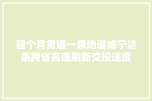 四个月贯通一条地道咸宁这条跨省高速刷新交投速度