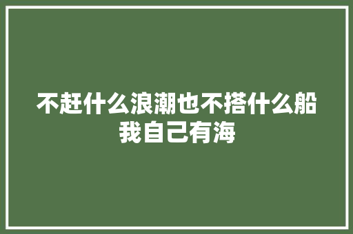 不赶什么浪潮也不搭什么船我自己有海
