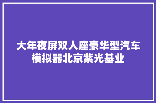 大年夜屏双人座豪华型汽车模拟器北京紫光基业