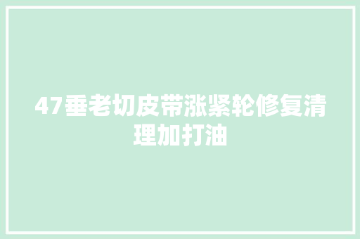 47垂老切皮带涨紧轮修复清理加打油
