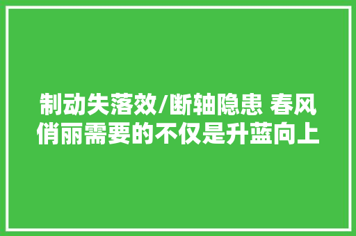 制动失落效/断轴隐患 春风俏丽需要的不仅是升蓝向上