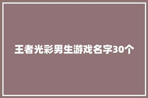 王者光彩男生游戏名字30个