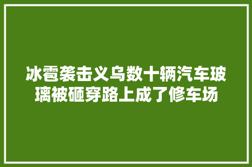 冰雹袭击义乌数十辆汽车玻璃被砸穿路上成了修车场