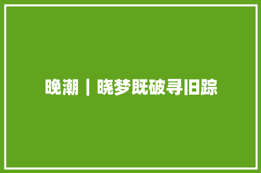 晚潮｜晓梦既破寻旧踪