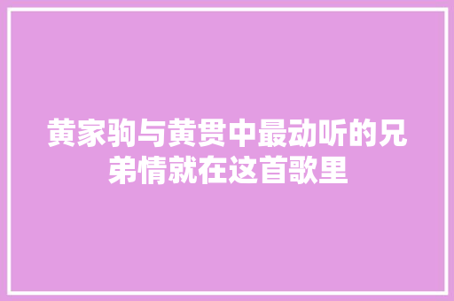 黄家驹与黄贯中最动听的兄弟情就在这首歌里