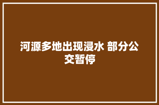 河源多地出现浸水 部分公交暂停